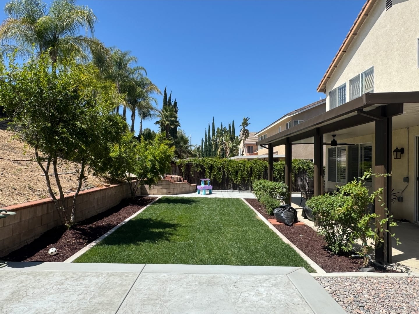 Complete Backyard Remodel